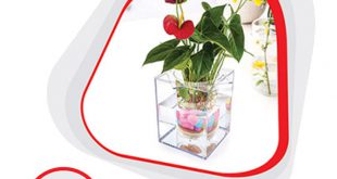 خرید آنلاین و ارزان گلدان آکواریومی